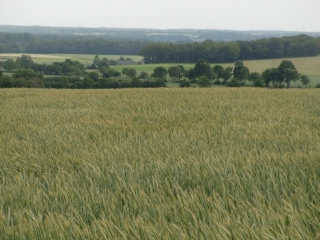Xanten : Am Rande von Xanten-Birten, der Blick von der Hees ( H&ouml;henzug ) in die Niederrheinlandschaft